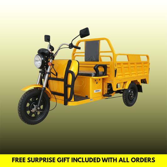 REVOLT CargoTrike™